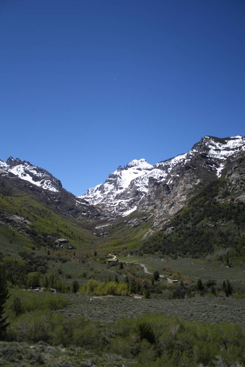 Along the byway there are many places to stop including the Lamoille Canyon Overlook. (Deborah ...