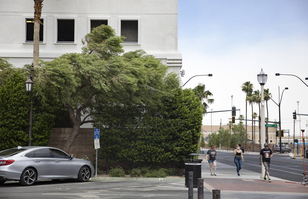 Wind hits the trees in downtown Las Vegas the day a wind advisory was issued, Sunday, June 28, ...