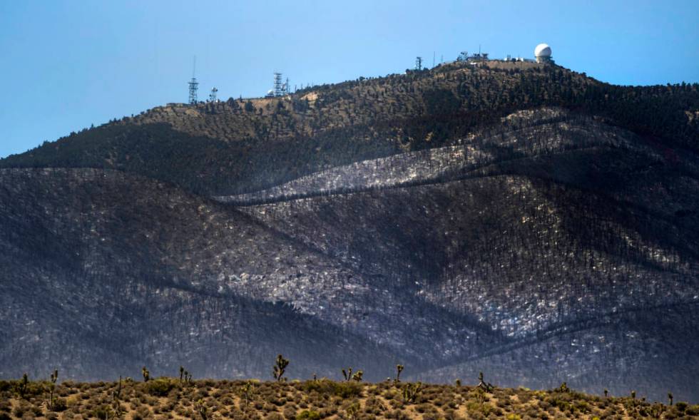 The forest ridge is burned below the Angel Peak FAA Radar Site during the Mahogany Fire on Moun ...