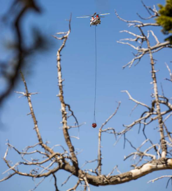 A helicopter with water bucket arrives at the Lee Canyon Ski Resort for another drop over the M ...