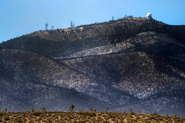 The forest ridge is burned below the Angel Peak FAA Radar Site during the Mahogany Fire on Moun ...