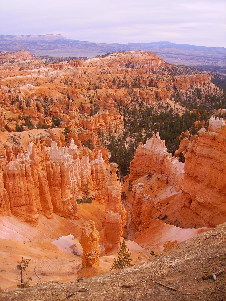 While it’s called Bryce Canyon, the park is made up of about one dozen natural limestone amph ...