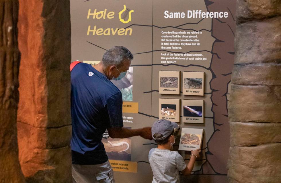 Ray and Jackson Trujillo, 4, of Las Vegas, learns about creatures that live in caves at the new ...