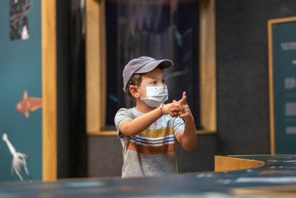 Jackson Trujillo, 4, of Las Vegas, learns about deep see fish at the new exhibit in the Las Veg ...