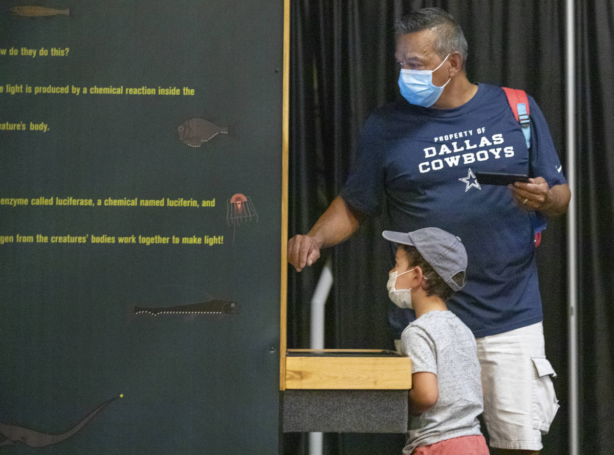 Ray and Jackson Trujillo, 4, of Las Vegas, explore the new exhibit at the Las Vegas Natural His ...