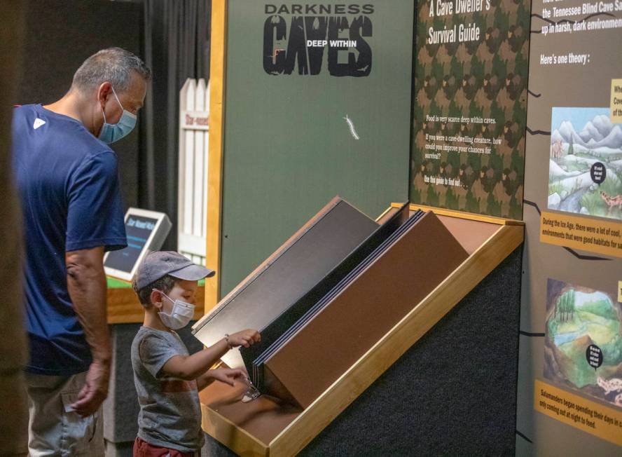 Ray and Jackson Trujillo, 4, of Las Vegas, learns about creatures that live in caves at the new ...