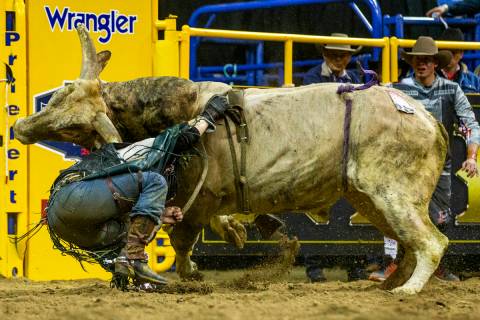 Trey Benton II of Rock Island, Texas, is knocked off and takes a horn in Bull Riding at the ten ...