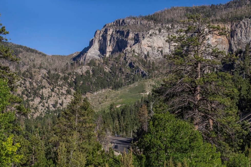 Mount Charleston on Tuesday, July 7, 2020, near Las Vegas. (Benjamin Hager/Las Vegas Review-Jou ...