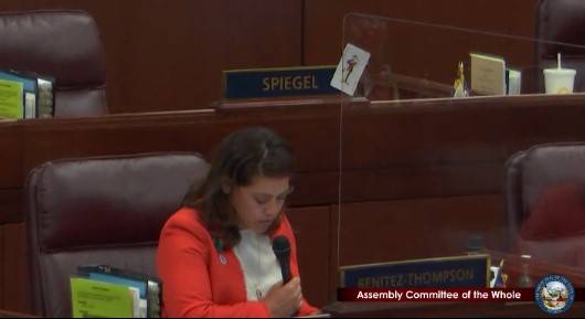 Assemblywoman Teresa Benitez-Thompson speaks without wearing a mask on July 8, 2020. (Screen ca ...