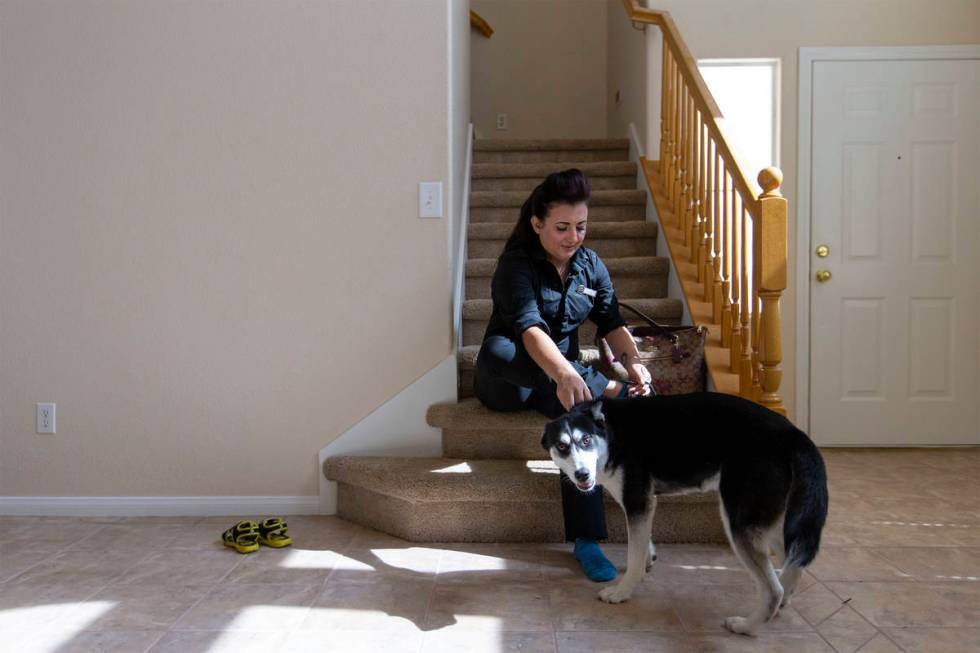 Alexis Cossman is greeted by her roommate's dog, Bella, while she puts on her shoes before head ...