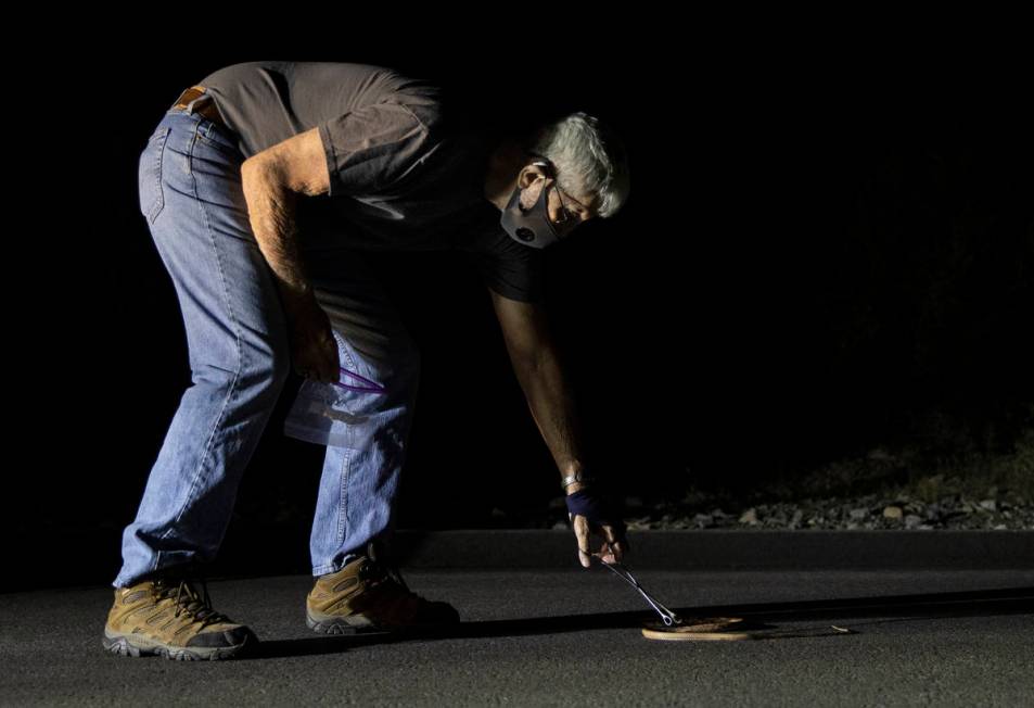 Bob McKeever collects a coach whip snake during a species survey at Red Rock Canyon National Co ...