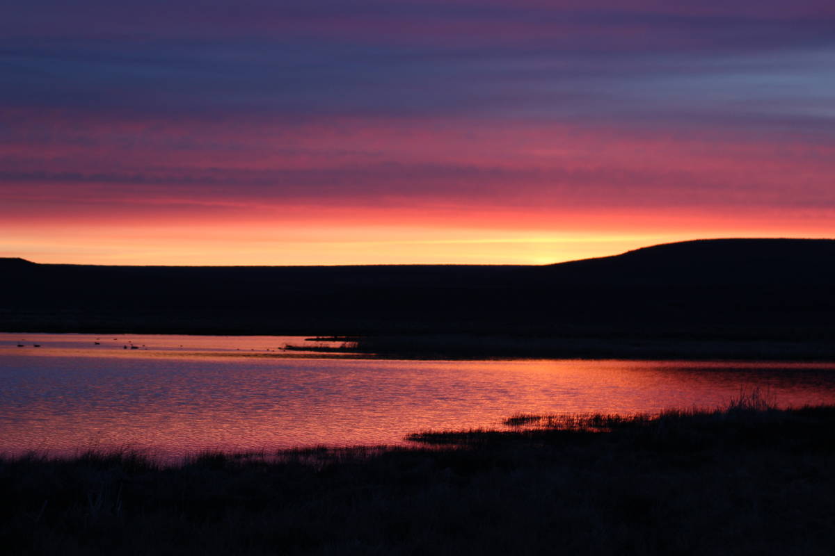 A stunning sunrise at Catnip Reservoir, Sheldon National Wildlife Refuge, Nevada. (Deborah Wall ...