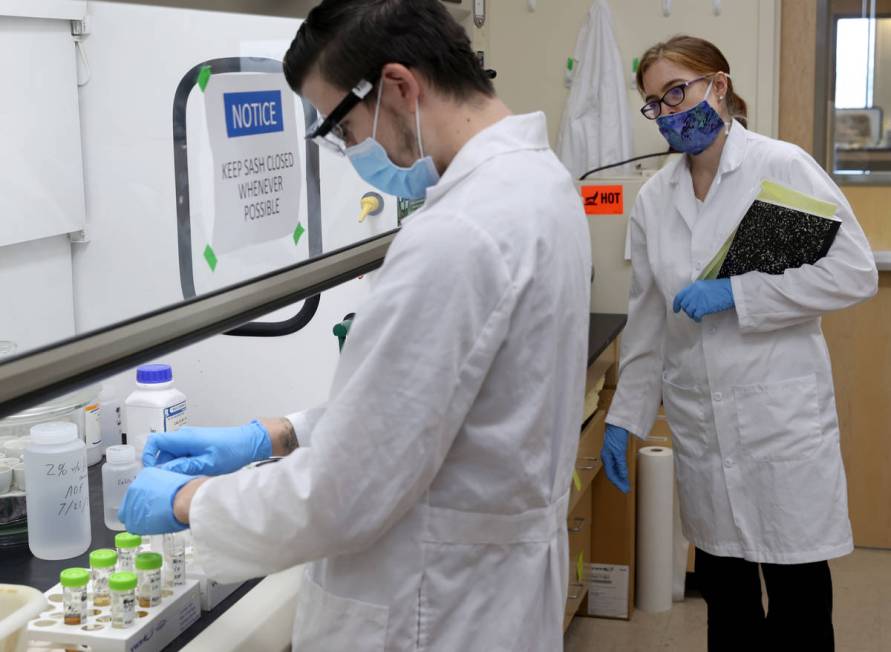 UNLV professor Elisabeth ÒLibbyÓ Hausrath observes Ph.D. student Anthony Feldman in h ...