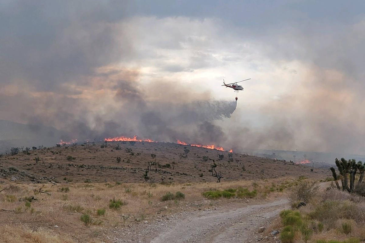 The Cottonwood fire (U.S. Forest Service)