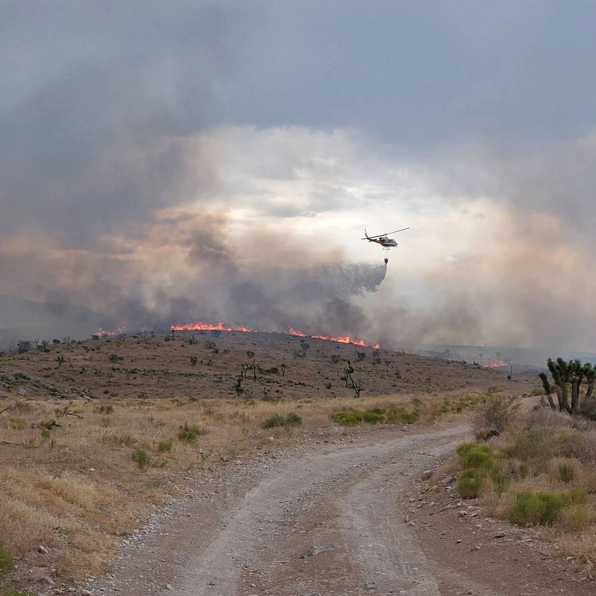 The Cottonwood fire, burning in grass, sage and brush, mixed with some pinyon and juniper, is e ...