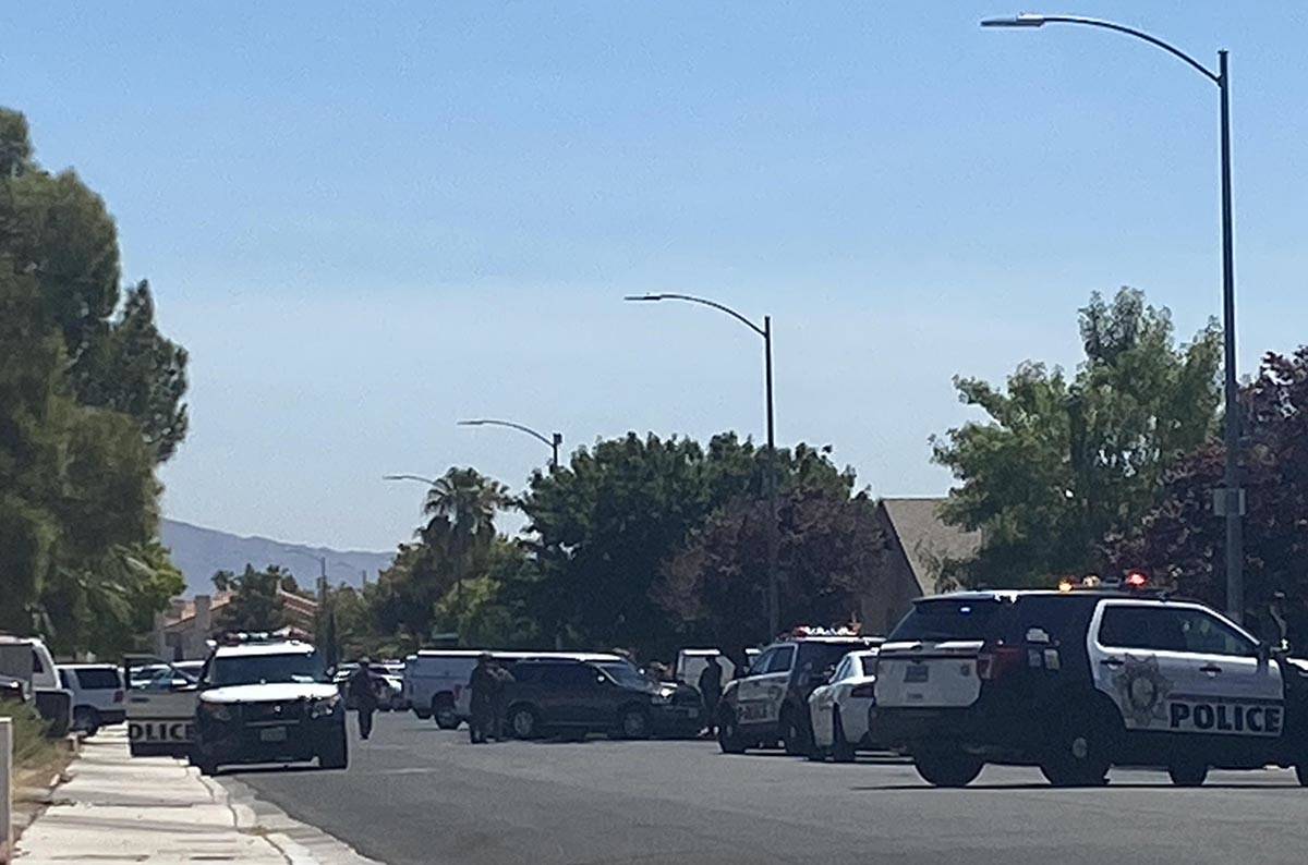 Las Vegas police said an armed individual was inside a home on the 8200 block of Dans Glen Plac ...