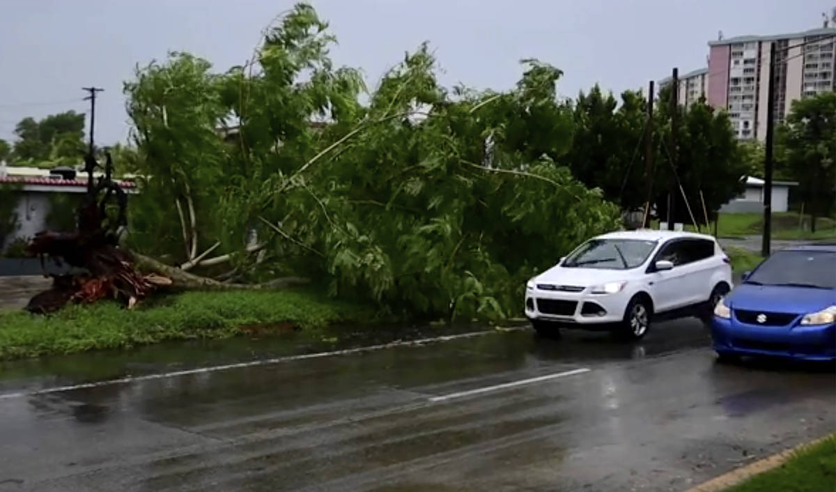 In this image made from video, a large tree toppled by tropical storm winds is seen in Alto Tru ...