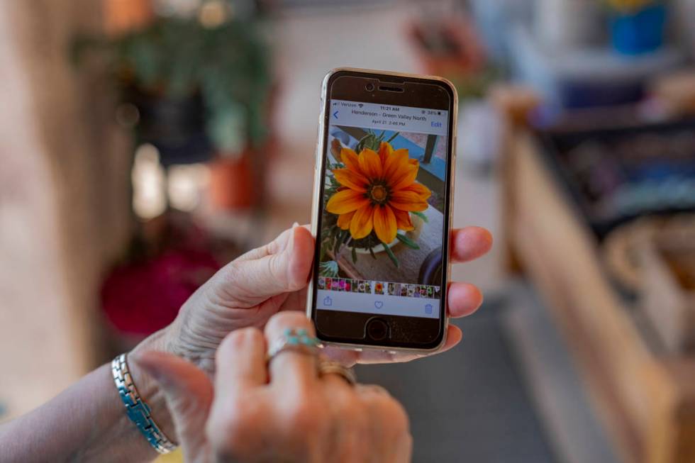 Sunset Garden Club president Nancy Bovill shows a photograph of her flowers that bloom in sprin ...