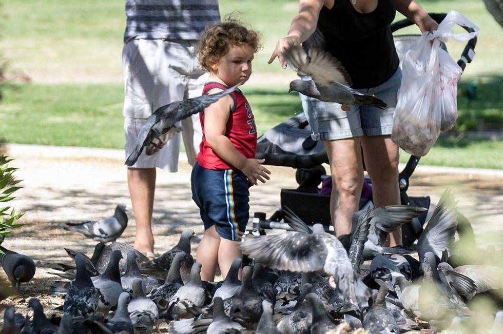 Erick Stetler, 2, watches as his grandmother, who declined to give her name, feeds birds at Sun ...