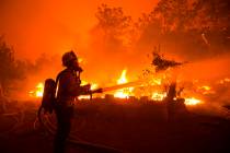 A firefighter works against the Lake Hughes fire in Angeles National Forest on Wednesday, Aug. ...