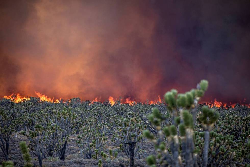 A fire burns Sunday in the Mojave National Preserve in eastern California. (Rolland Steil)