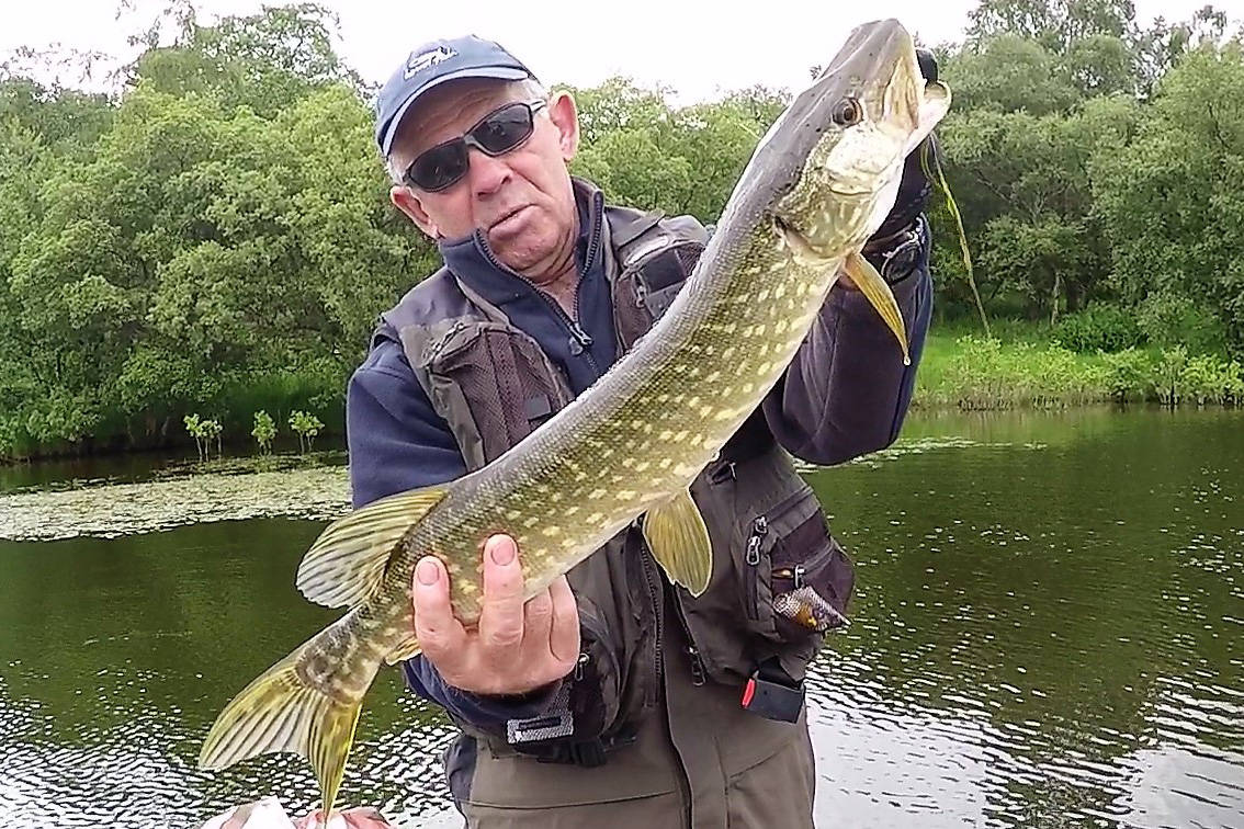 Fishing guide Ken Wood holds up a northern pike that inhaled a fly with no name. Most fishing m ...