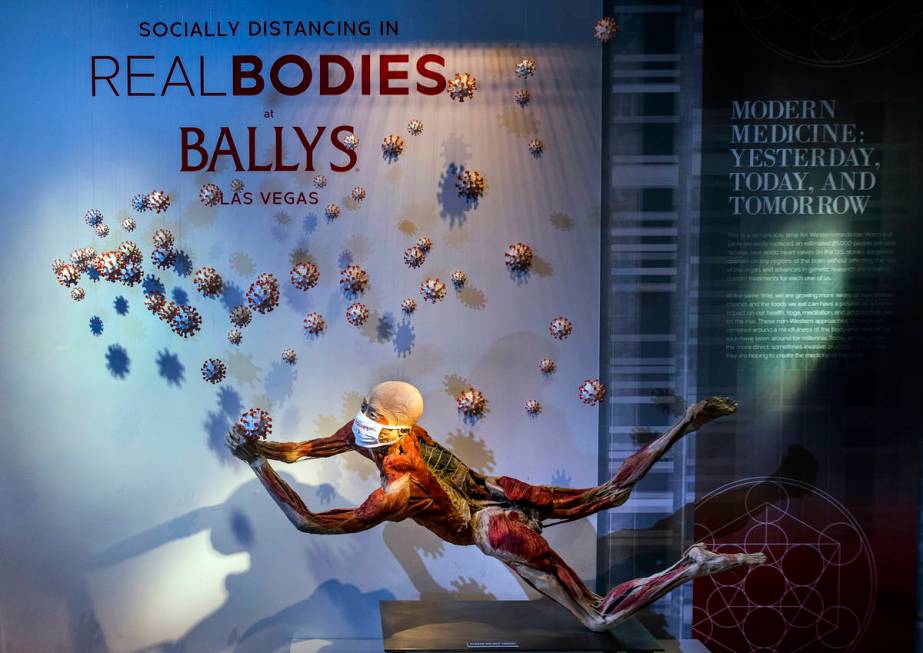 The effects of COVID-19 are examined within the REAL BODIES at Bally's exhibit while looking ba ...