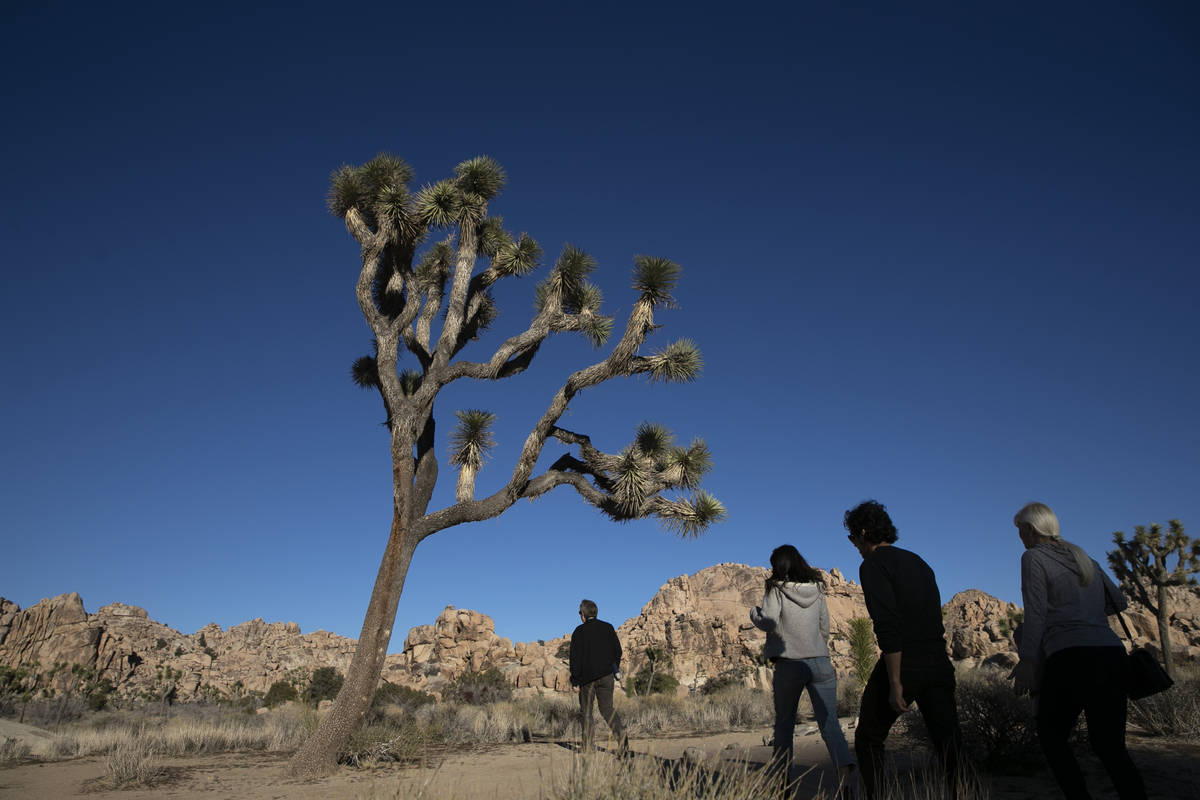 People visit Joshua Tree National Park in Southern California's Mojave Desert, Thursday, Jan. 1 ...