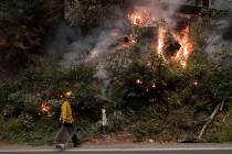 Ben Slaughter, a firefighter for the Boulder Creek Fire Department, walks along Highway 9 while ...