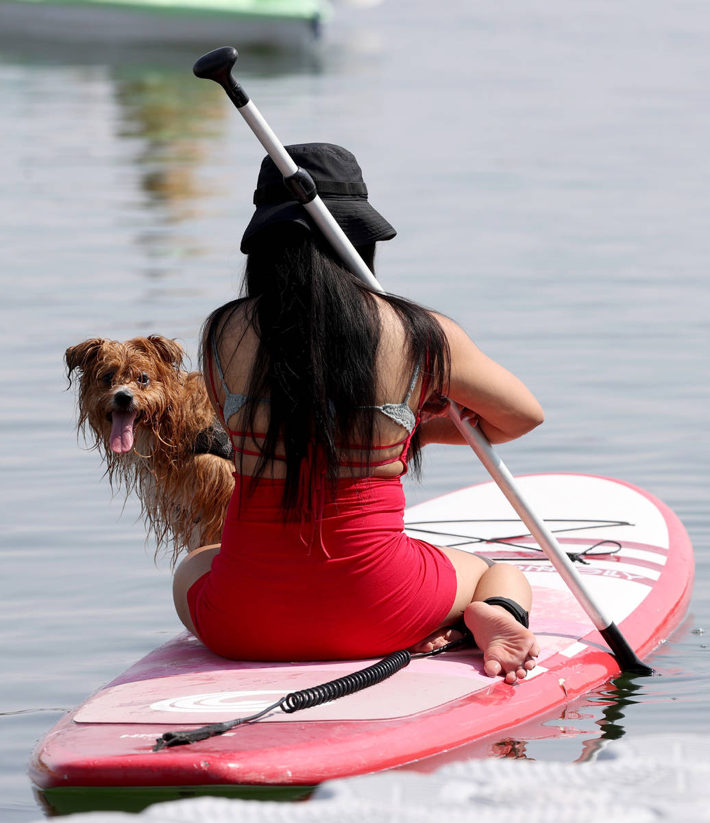 A woman kayaks with her dog during Bring Your Dog to the Lake Day at Lake Las Vegas Water Sport ...