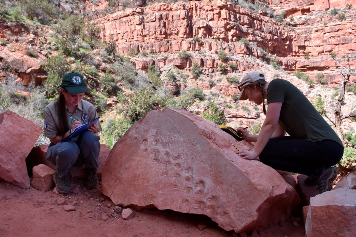 This photo shows park employees Klara Widrig, left, and Anne Miller examining a rock that revea ...