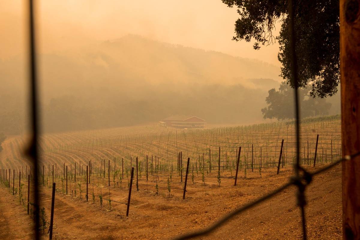 Smoke from the Carmel Fire hangs over Merk Family Vineyards near Carmel Valley, Calif., Wednesd ...