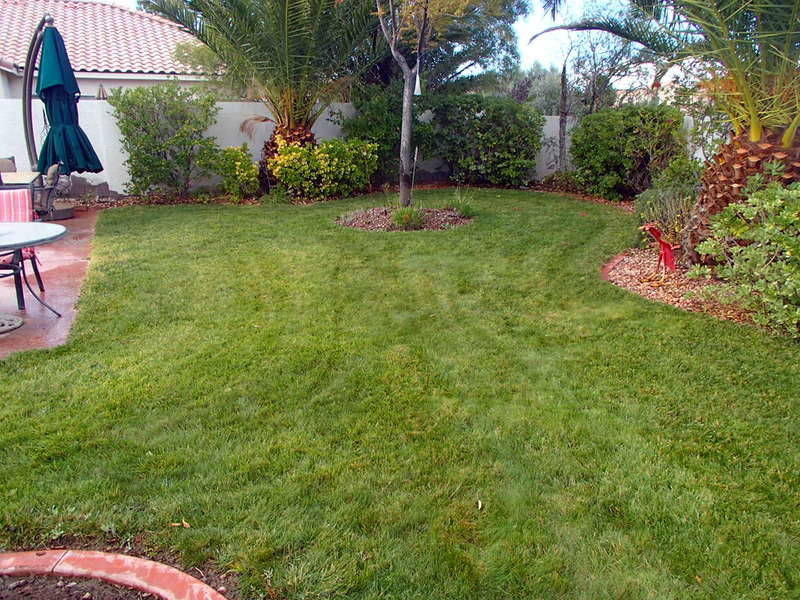 There are basically two types of lawns that determine when to plant: cool-season lawns, mostly ...