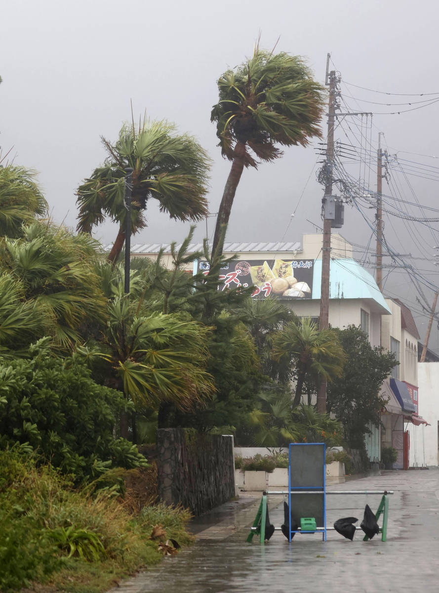 Trees blow in the strong wind caused by approaching typhoon in Miyazaki, southwestern Japan Sun ...