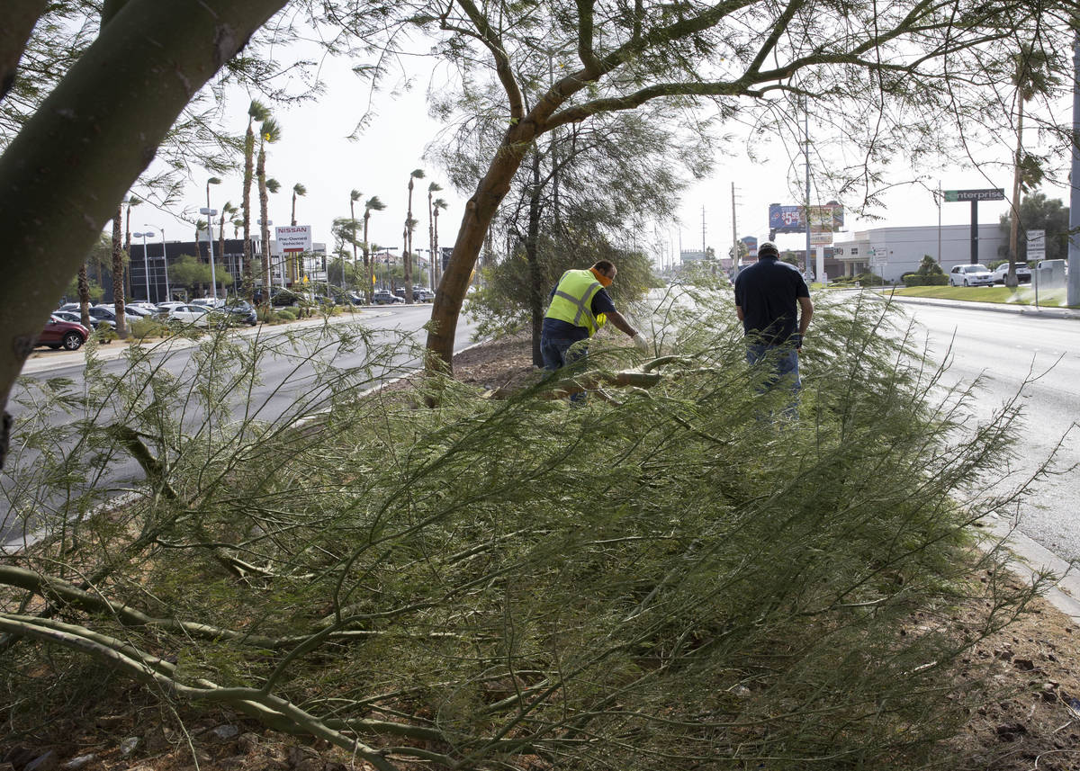 Las Vegas city workers remove tree branches broken by strong wind on Sahara Avenue, near Jones ...