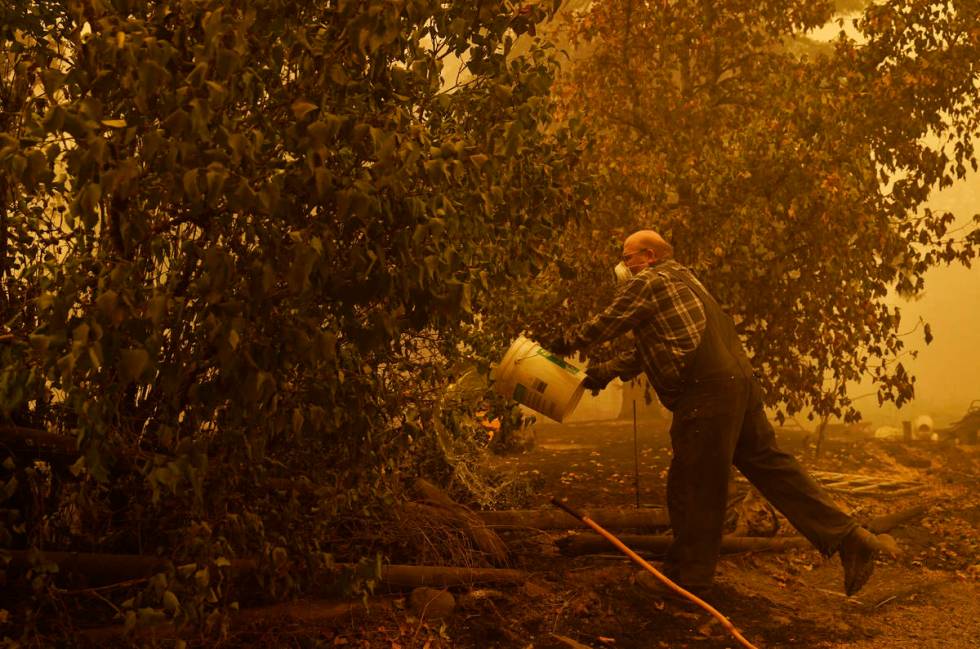 George Coble douses a still smoldering tree at his property destroyed by a wildfire Saturday, S ...