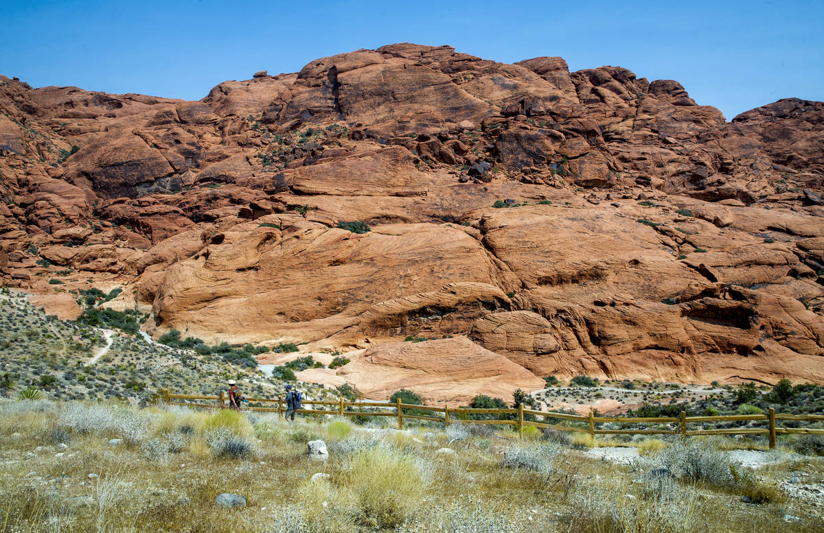 Hikers make their way along the Calico II trail in the Red Rock Canyon National Recreation Area ...