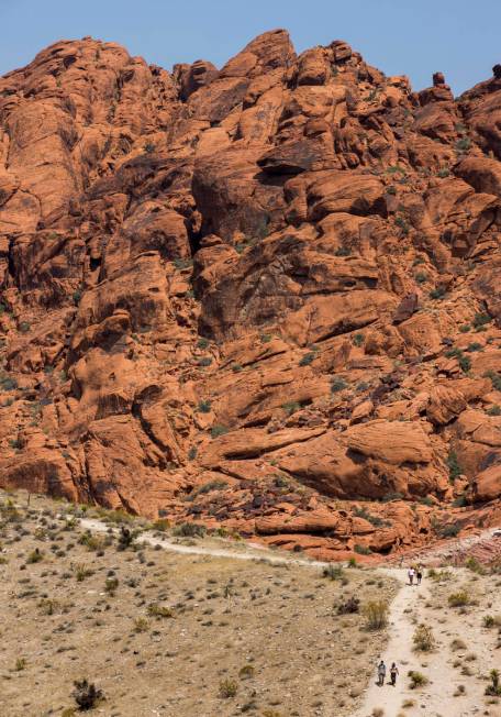 Hikers make their way along the Calico I trail in the Red Rock Canyon National Recreation Area ...