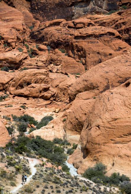 Hikers make their way along the Calico I trail in the Red Rock Canyon National Recreation Area ...