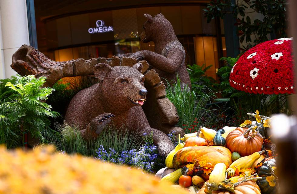 Bears are part of the "Into the Woods" fall display at the Bellagio Conservatory and Botanical ...