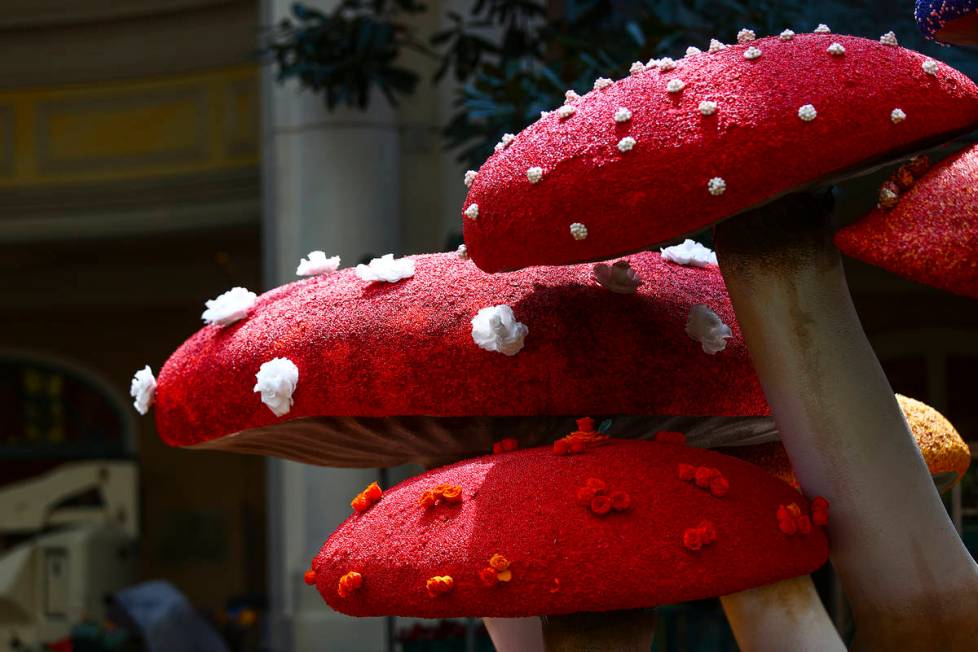Mushrooms are in the "Into the Woods" fall display at the Bellagio Conservatory and Botanical G ...