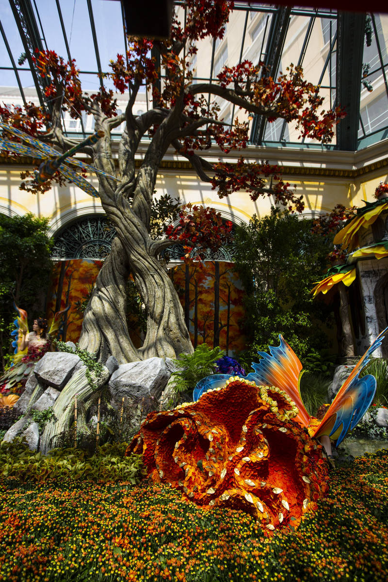 A mythical forest is the theme for the "Into the Woods" fall display at the Bellagio Conservato ...