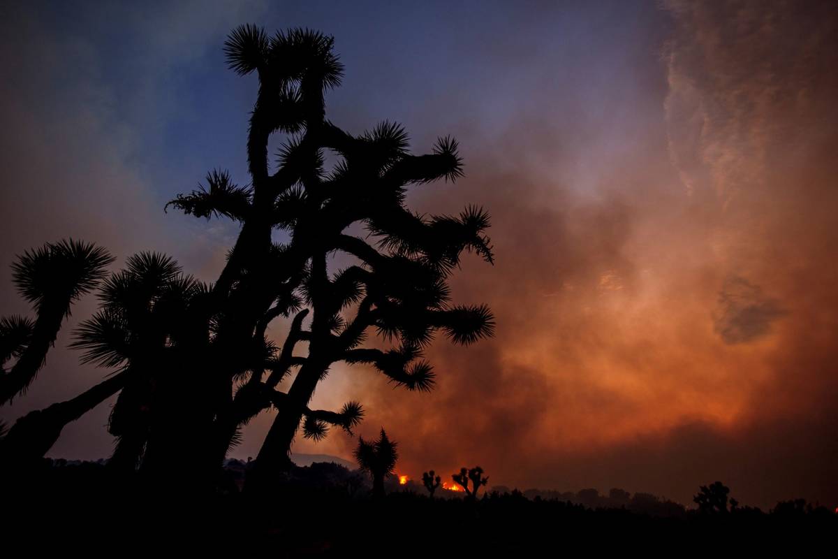 Smoke rises from the Bobcat Fire in Juniper Hills, Calif., Friday, Sept. 18, 2020, with Joshua ...