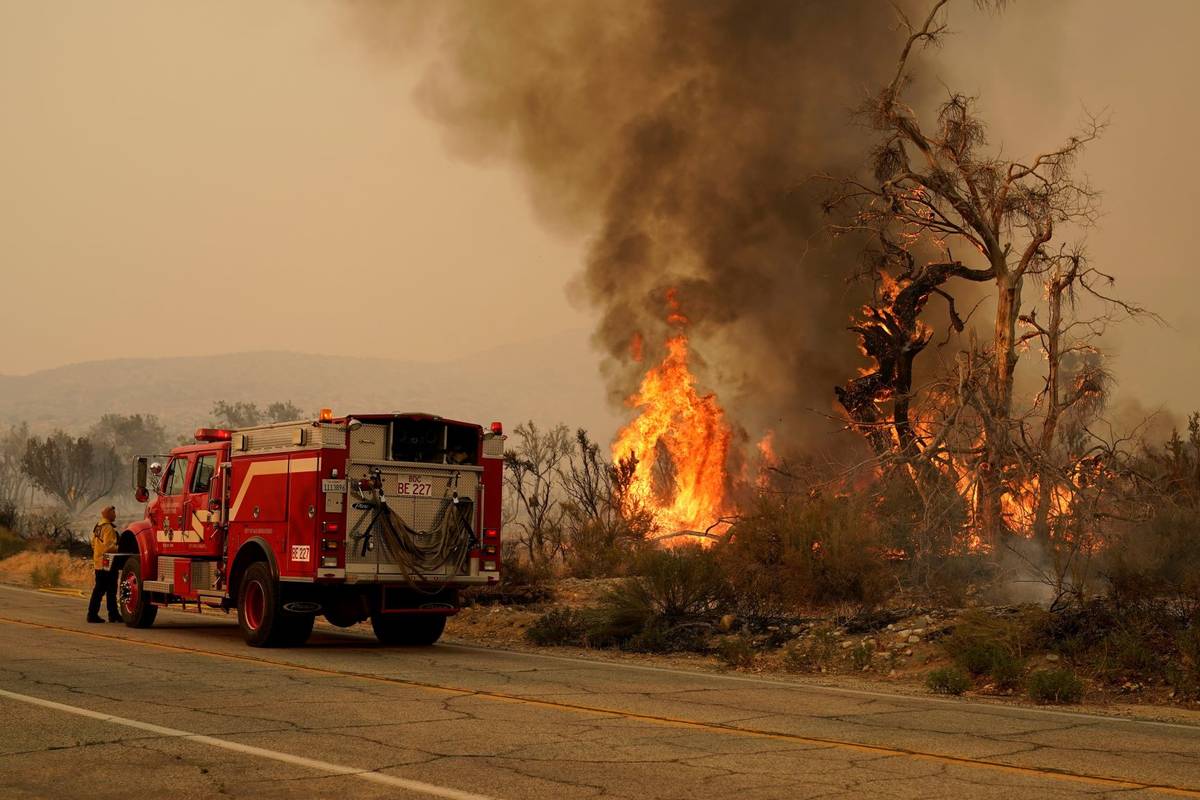 A San Bernardino County Fire Department member keeps an eye on a flareup from the Bobcat Fire o ...
