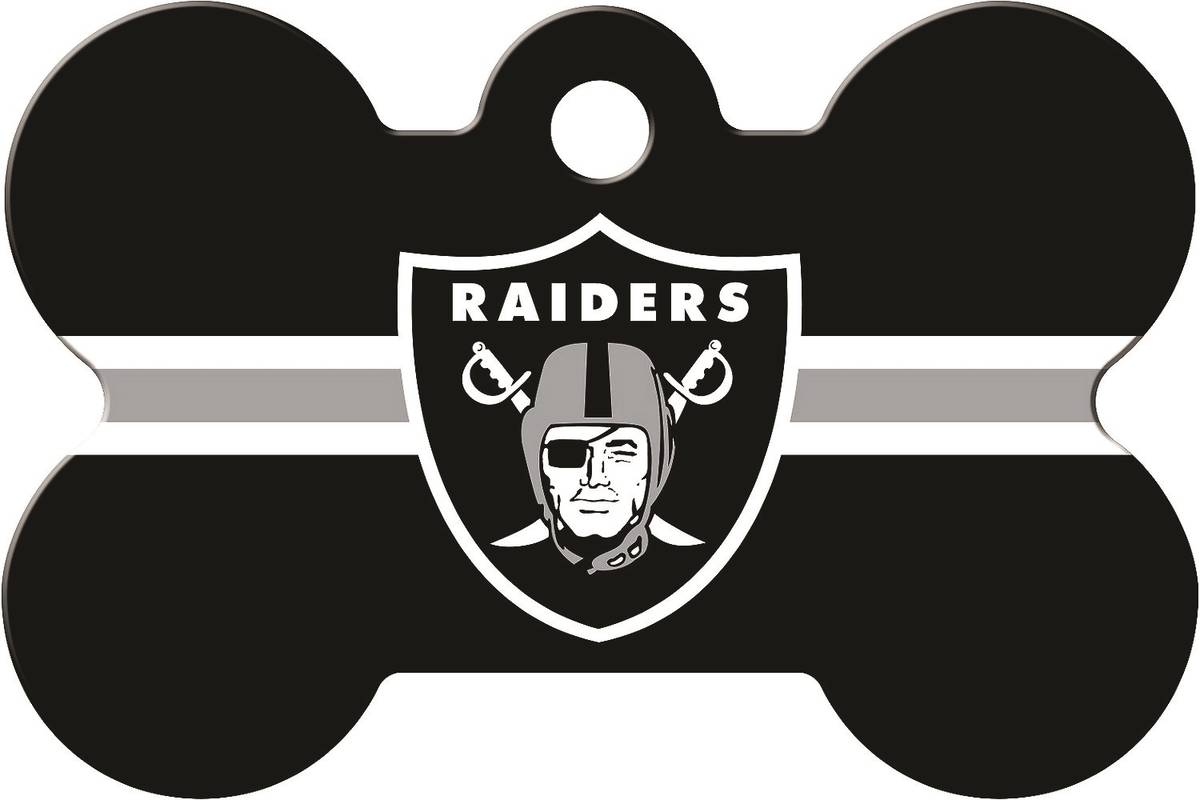 Help your pet identify with the Raiders with this identity tag. (Chewy.com)