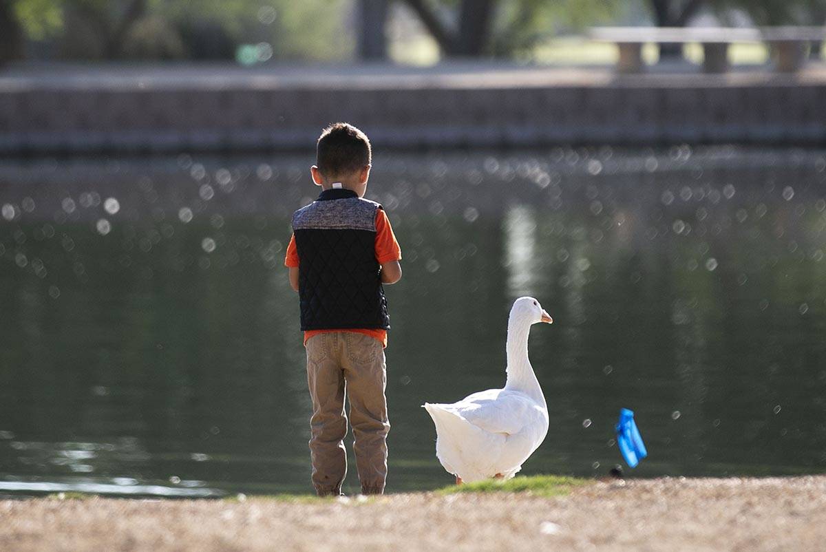 Jose Angel, 4, relaxes during a cool morning at Sunset Park pond on Thursday, Sept. 24, 2020, i ...