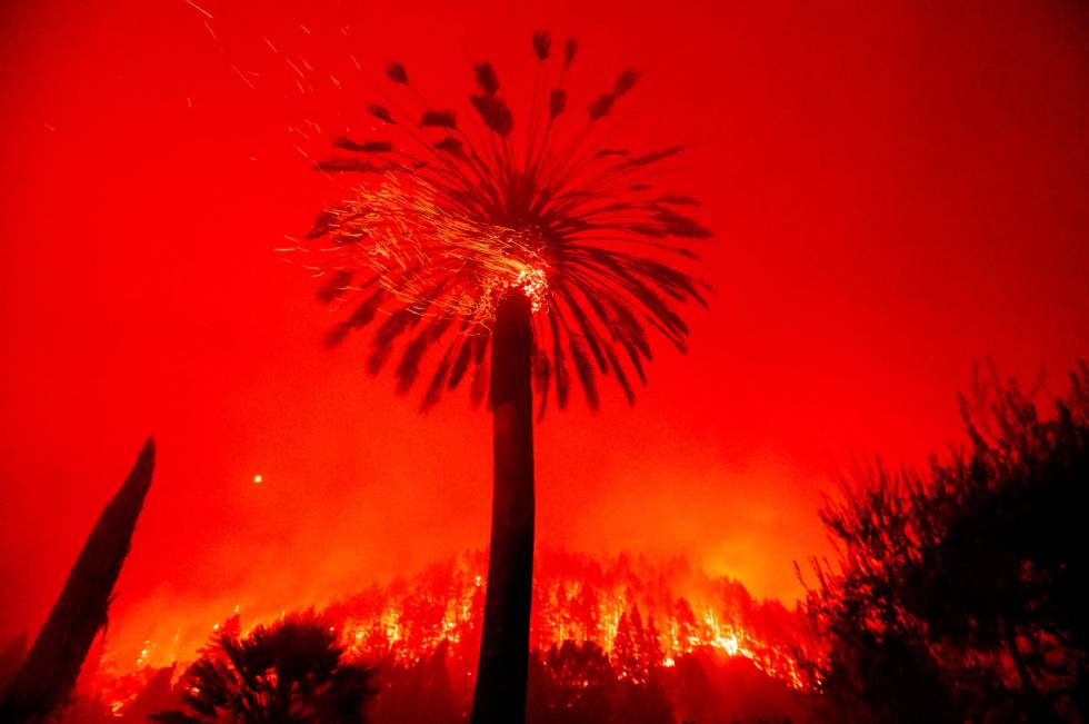 Embers fly from a tree as the Glass Fire burns in St. Helena, Calif., Sunday, Sept. 27, 2020. ( ...
