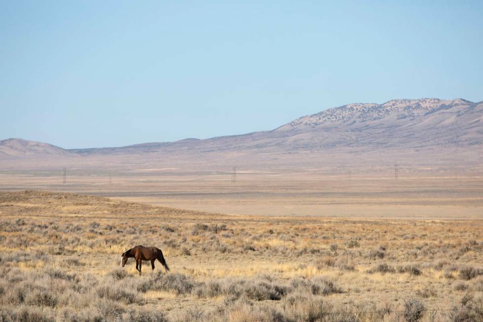 The Diamond HMA on Friday, Sept. 11, 2020, near Eureka, Nevada. (Ellen Schmidt/Las Vegas Review ...