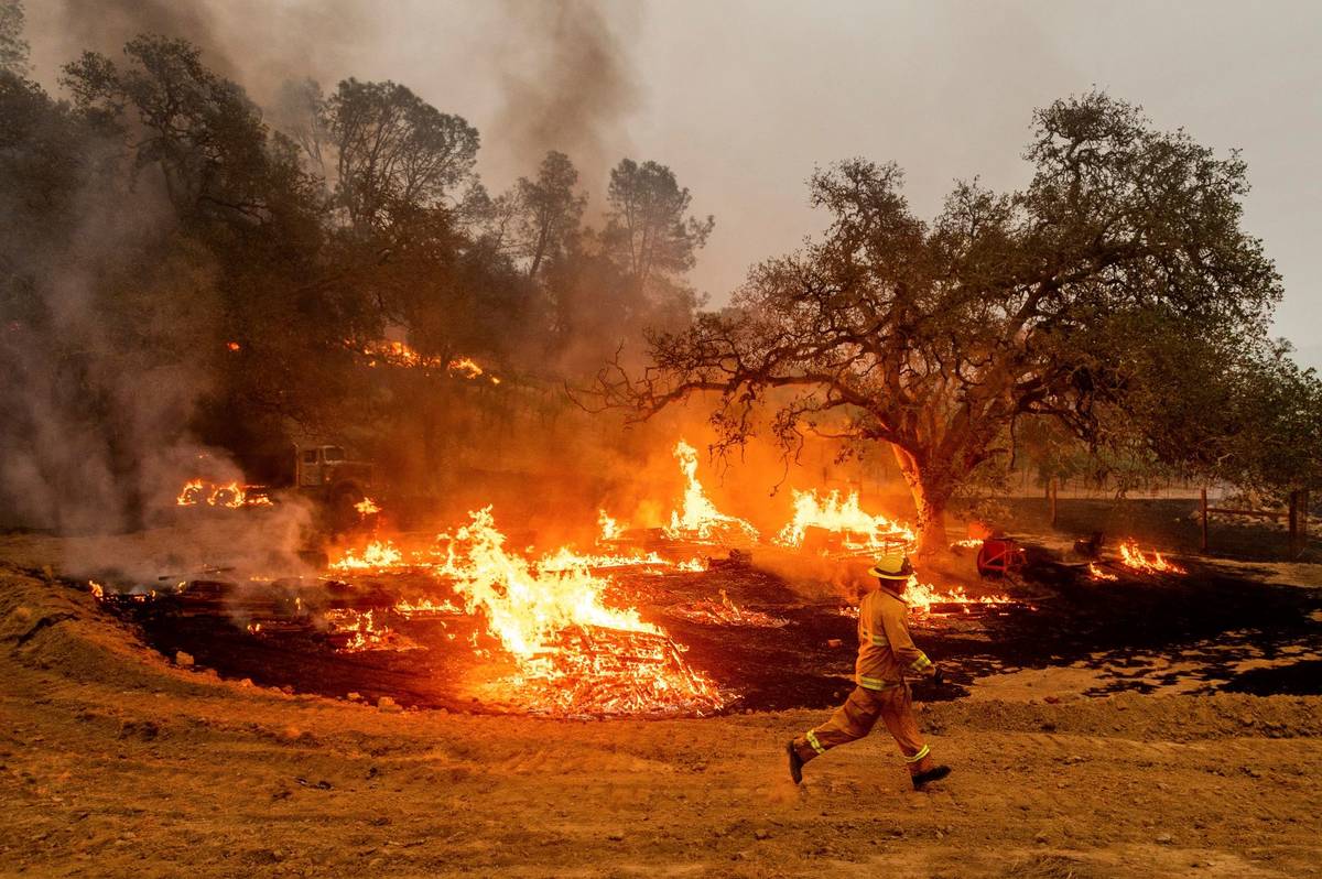 A firefighter runs past flames while battling the Glass Fire in a Calistoga, Calif., vineyard T ...