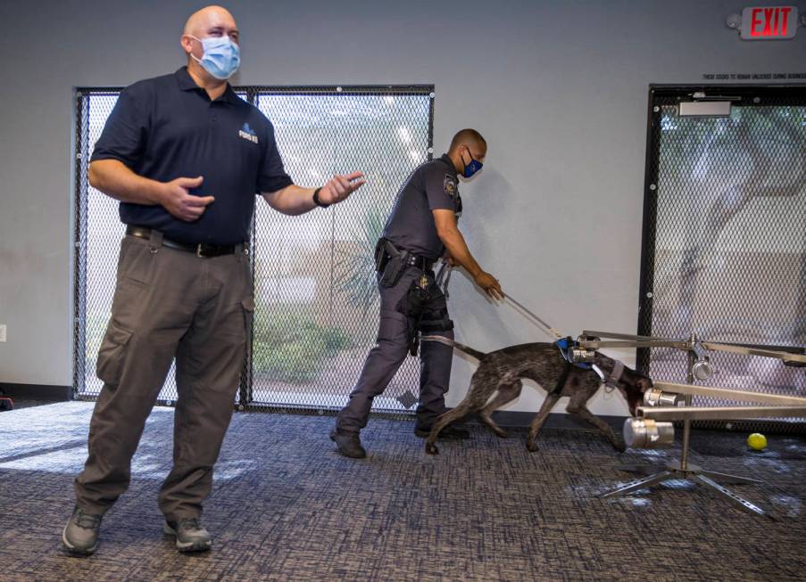 Trainer Cameron Ford with Ford K-9, left, describes a narcotics search demonstration by Nevada ...